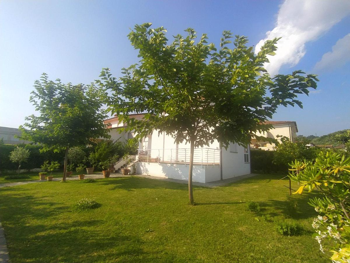 Villa La Bouganville Camaiore Exterior foto