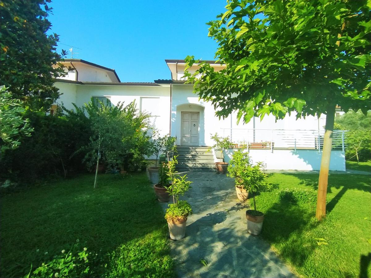 Villa La Bouganville Camaiore Exterior foto