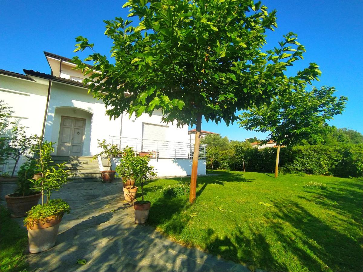 Villa La Bouganville Camaiore Exterior foto