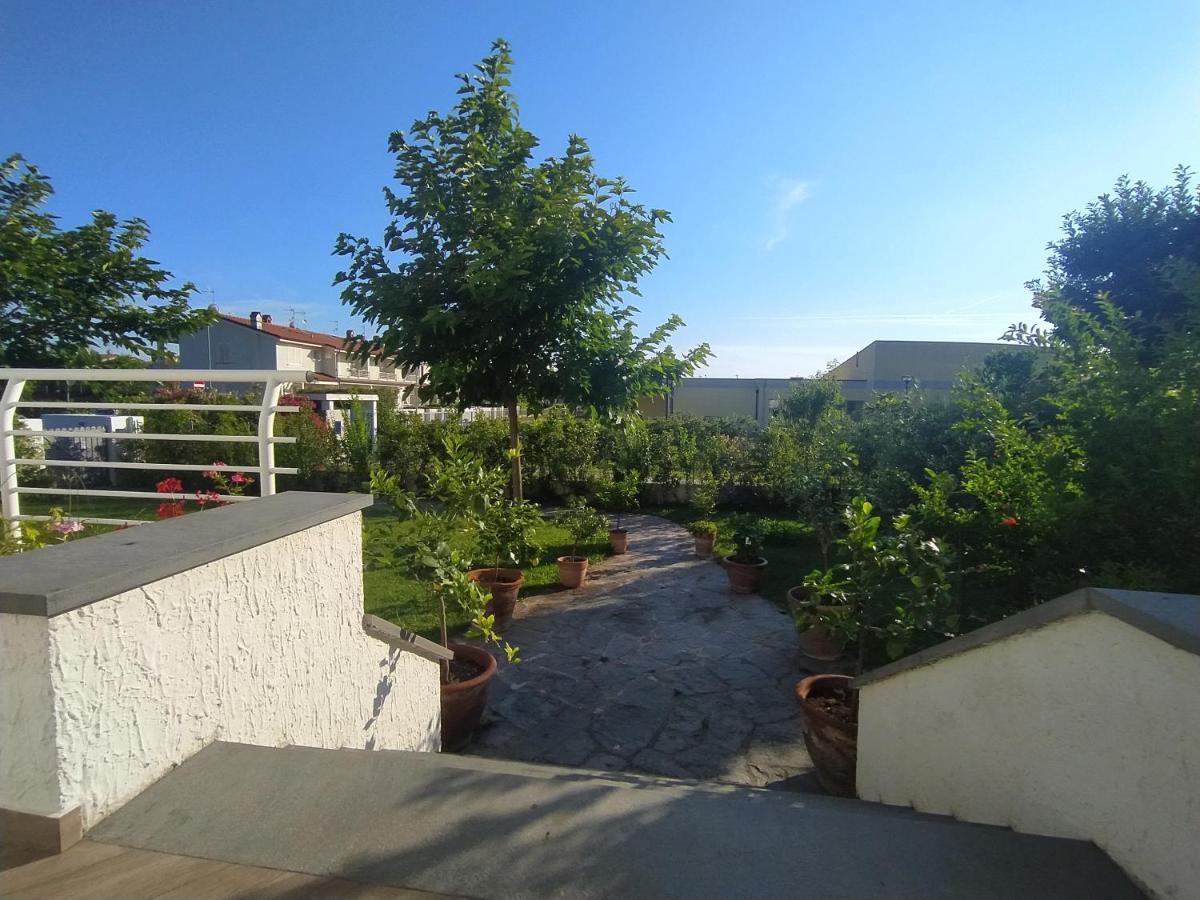 Villa La Bouganville Camaiore Exterior foto
