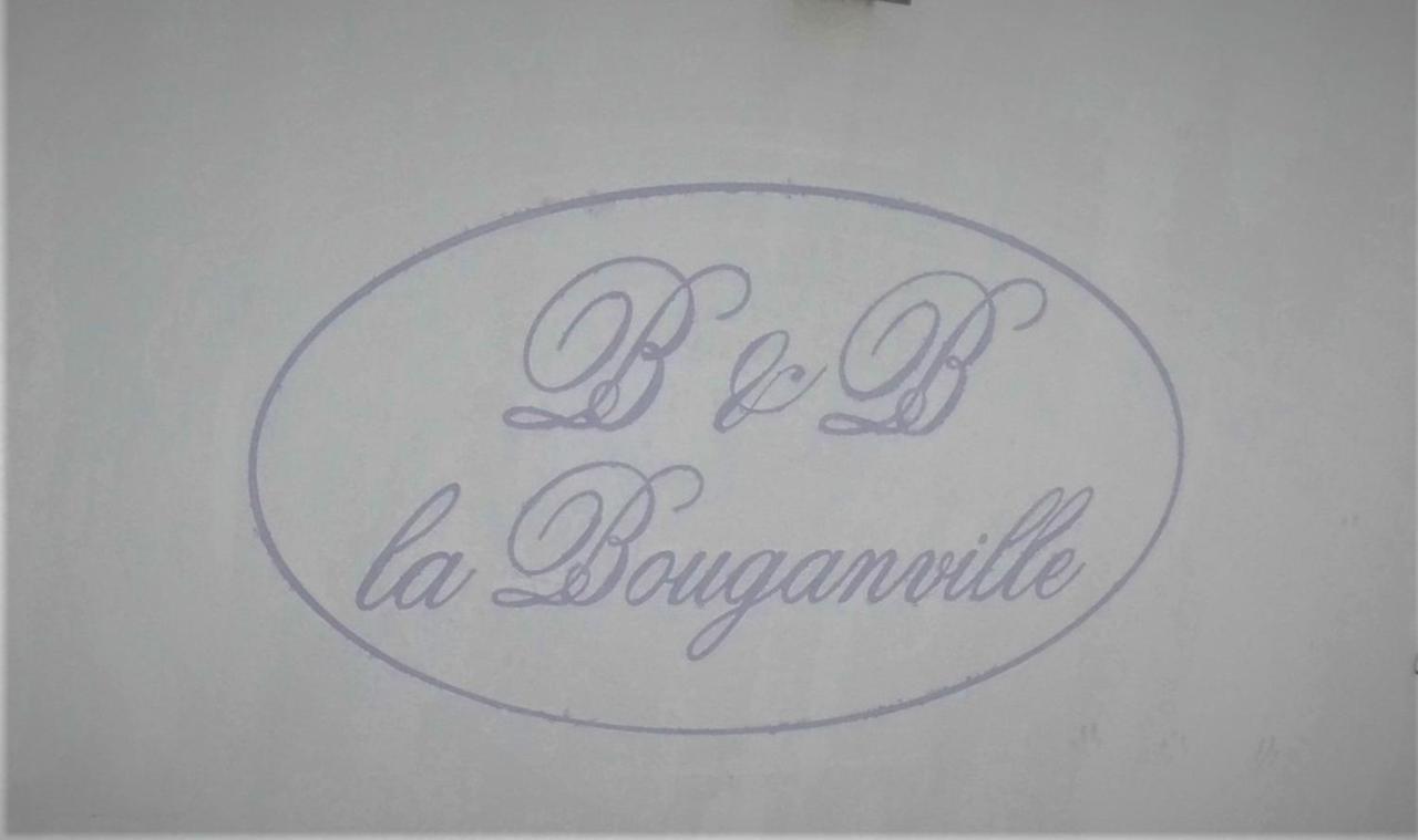 Villa La Bouganville Camaiore Exterior foto